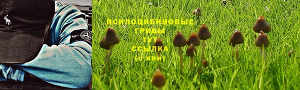 СК Чердынь