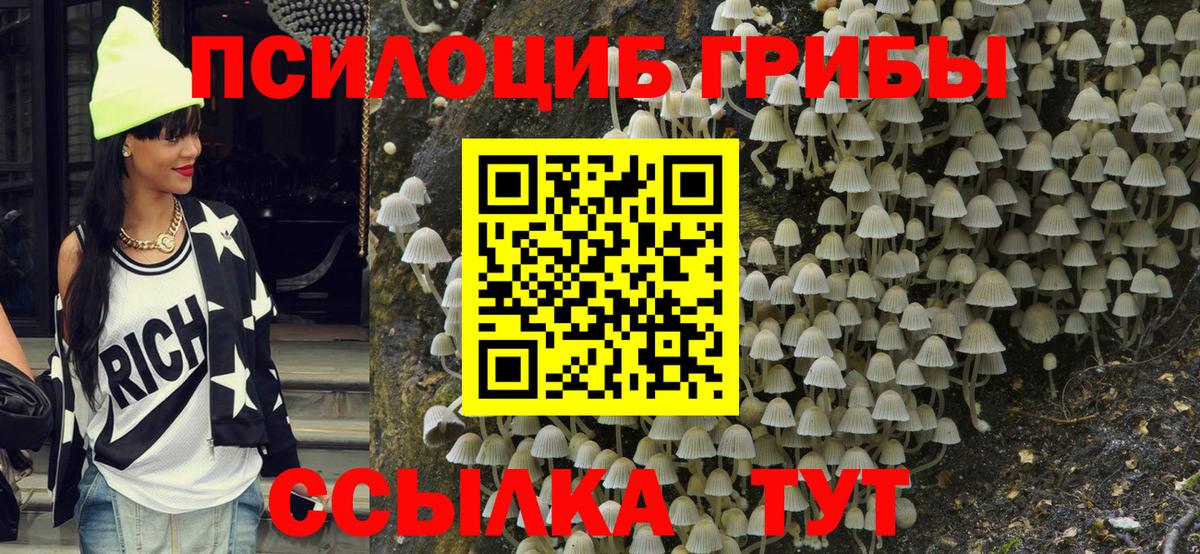 Псилоцибиновые грибы MAGIC MUSHROOMS Зима