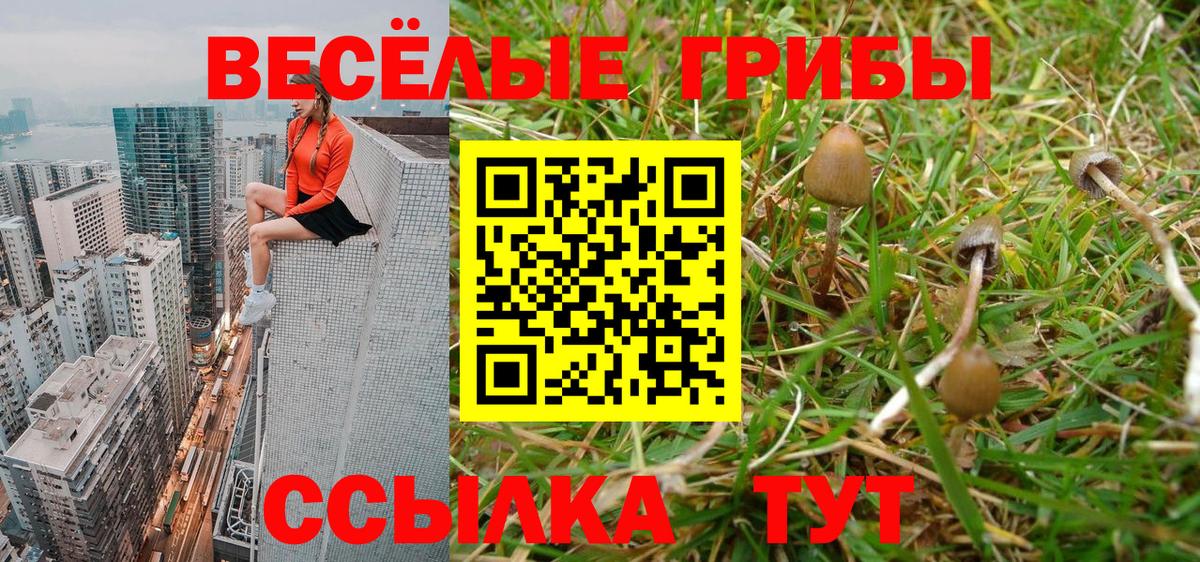 Зима  Псилоцибиновые грибы ЛСД  Вход с VPN  Галлюциногенные грибы прущие грибы 