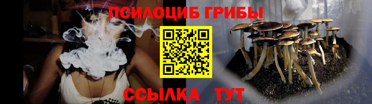 Галлюциногенные грибы прущие грибы  Зима  наркота  Галлюциногенные грибы Psilocybine cubensis 
